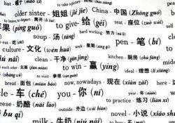Vocabulário básico chinês #1