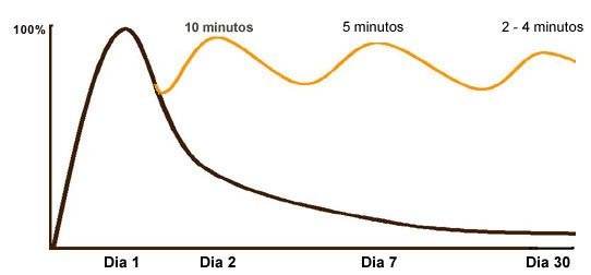 Como não esquecer as palavras que aprendemos?