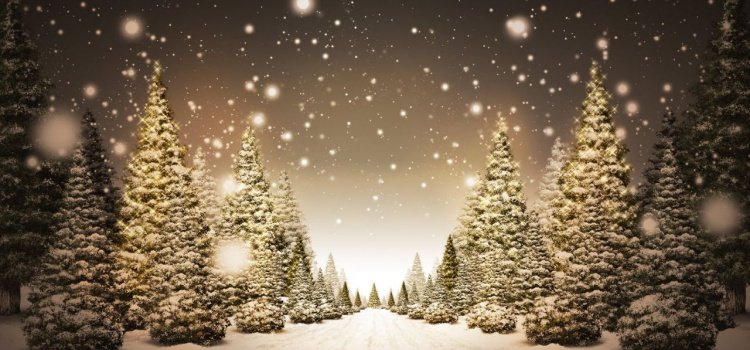 Vocabulário De Natal Em Inglês - Aprender Palavras Vocabulário De Natal Em Inglês - Aprender Palavras