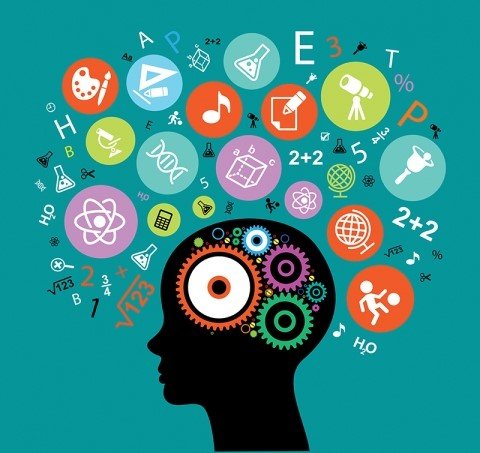 O que a ciência diz sobre benefícios para a mente ao aprender um novo idioma
