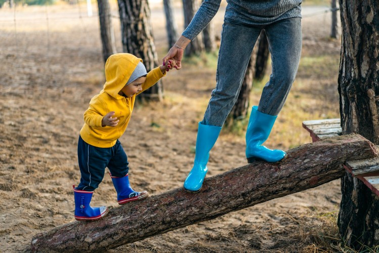 Cursos e Livros sobre Educação infantil