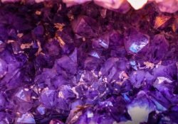 closeup photo of purple gemstones
